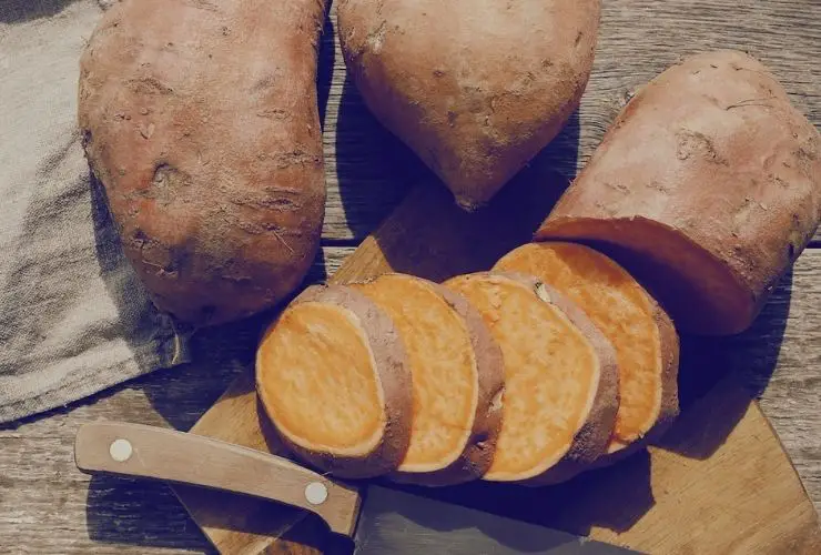 Can You Eat Sprouted Sweet Potatoes