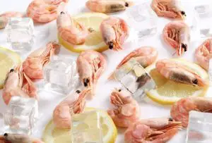 Can You Refreeze Shrimp