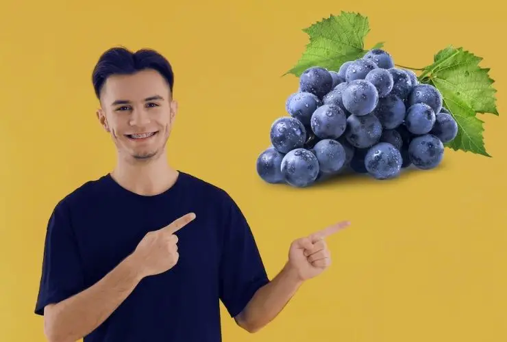 Can You Eat Grapes With Braces