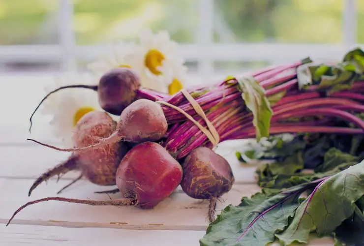 Can You Eat Beet Greens Raw BRUNCH With JOY