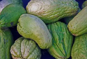 Can You Eat Chayote Raw