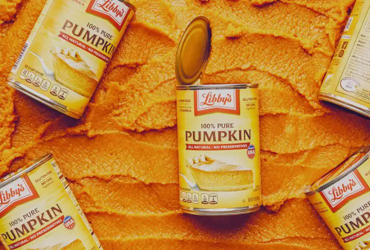 Can You Eat Libby's Pumpkin Raw