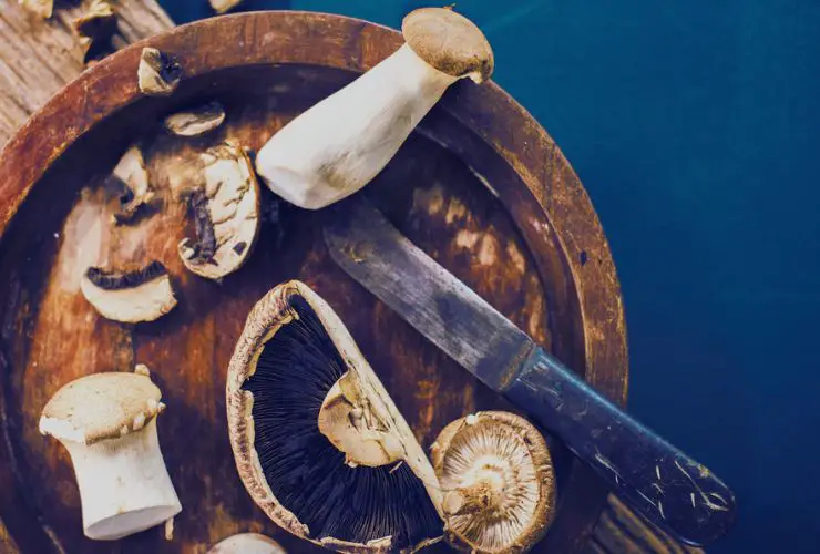 Can You Eat Portobello Mushrooms Raw