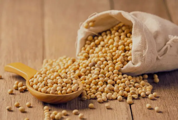 Can You Eat Raw Soybeans
