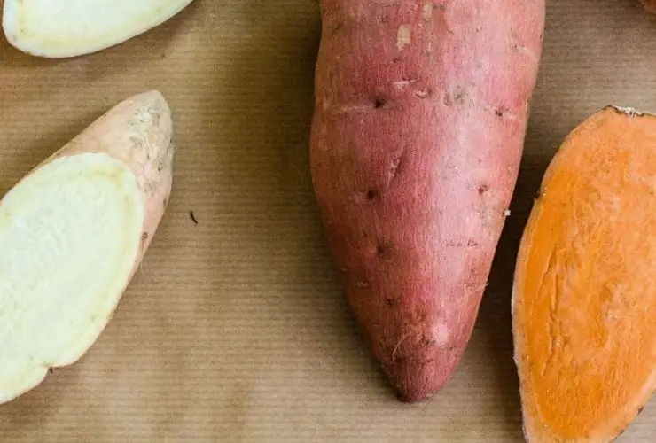 Yam VS Sweet Potato